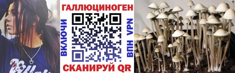 Галлюциногенные грибы Psilocybe  Серафимович 